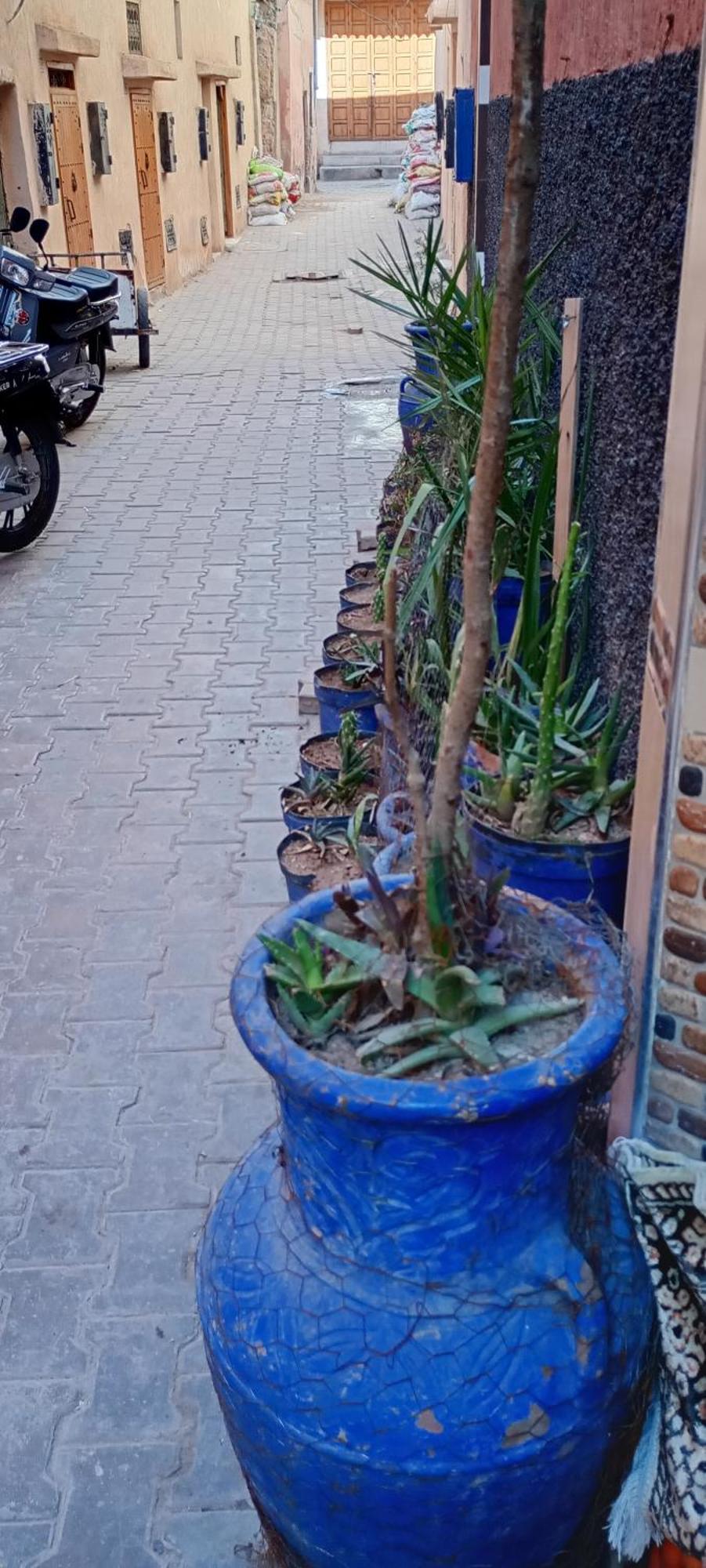 Ferienwohnung Dar Aziz Marrakesch Exterior foto